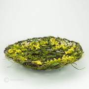 Reben Forsythien Schale  40cm